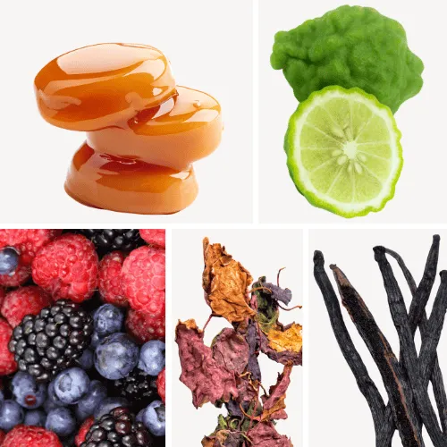 Duftnoten: Patschuli, Karamell, Bergamotte, Rotebeeren, Vanille
